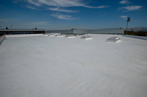 Best Storm Damage Roof Repair  in Shelburn, IN